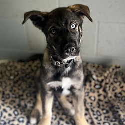 Photo of Reggie