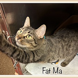 Thumbnail photo of FAT MA #3