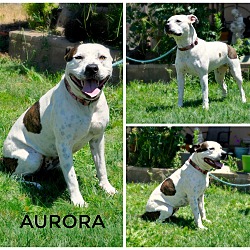 Photo of Aurora