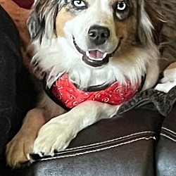 Photo of Annie