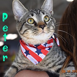 Thumbnail photo of Peter #3