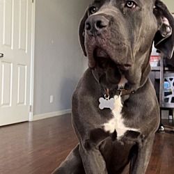 Photo of Hades