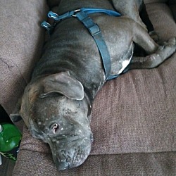 Photo of Zeus