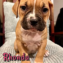 Photo of Rhonda