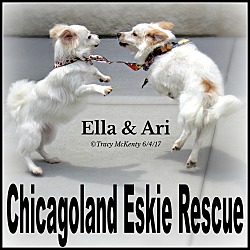 Thumbnail photo of Ari & Ella #4