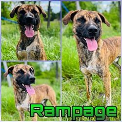 Photo of Rampage