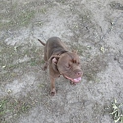 Photo of Mocha