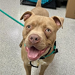 Photo of Tank