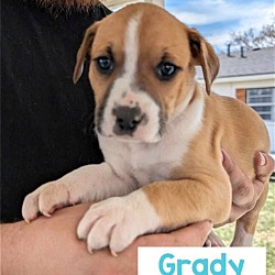 Thumbnail photo of Grady #3
