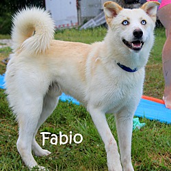 Thumbnail photo of Fabio~adopted! #4