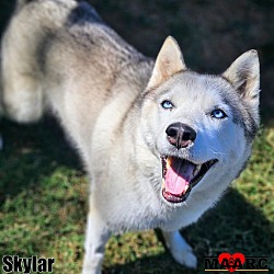 Thumbnail photo of Skylar #1