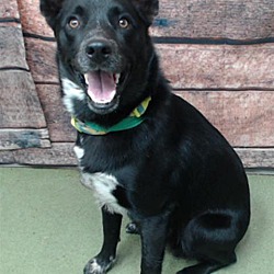 Photo of URGENT 8/15 @ DEVORE