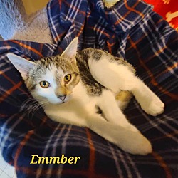 Thumbnail photo of Emmber #3