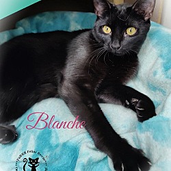 Photo of Blanche