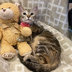 Photo of LuLu