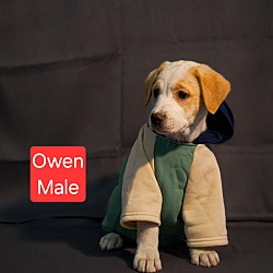 Thumbnail photo of Owen meet 4/19 #2