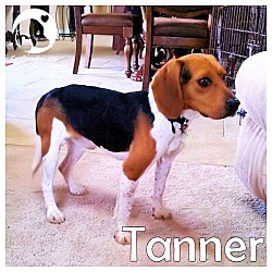 Thumbnail photo of Tanner #1