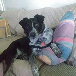 Photo of Ajax