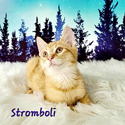 Photo of Stromboli