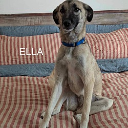 Photo of Ella