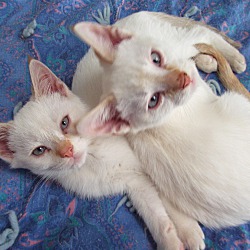 Thumbnail photo of Casper and Marigold #2