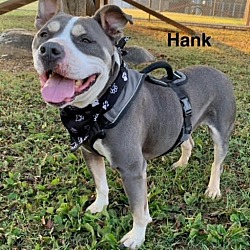 Thumbnail photo of Hank #3