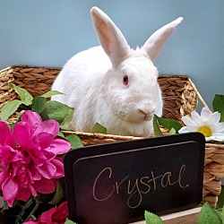 Photo of Crystal
