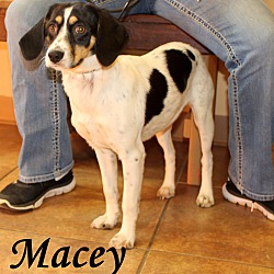 Thumbnail photo of Macey ~ meet me! #2