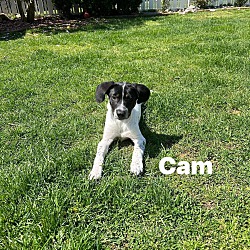 Photo of Cam