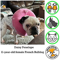 Photo of Daisy Penelope