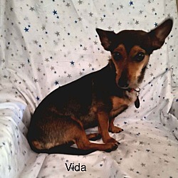 Thumbnail photo of Vida #2