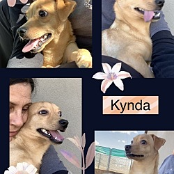 Thumbnail photo of KYNDA #4