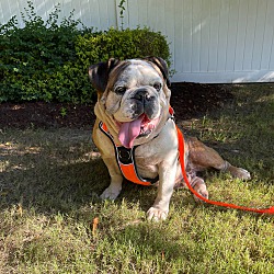 Photo of Winston