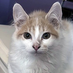 Photo of Ed