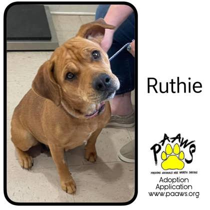 Photo of Ruthie