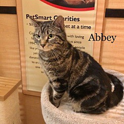Thumbnail photo of Abbey #4