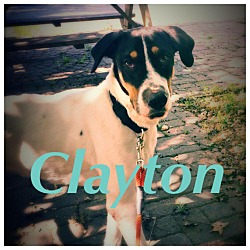 Photo of Clayton