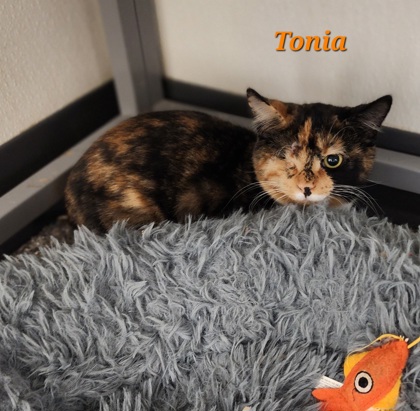 Photo of Tonia
