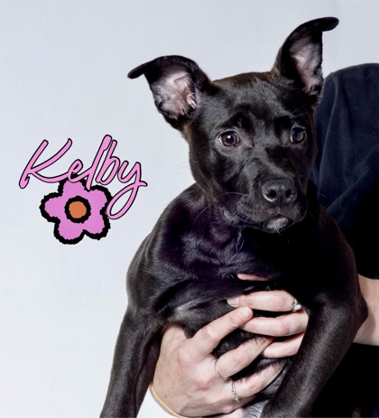 Photo of Kelby-