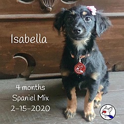 Thumbnail photo of Isabella #4