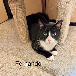 Thumbnail photo of Fernando #3