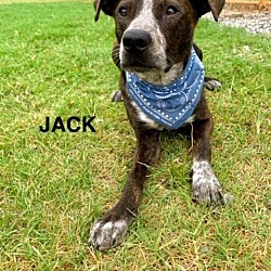 Thumbnail photo of Jack2 #1