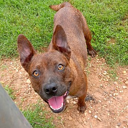 Photo of Finley