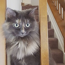 Photo of Sasha