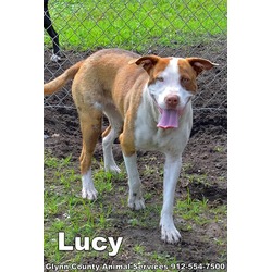 Photo of LUCY