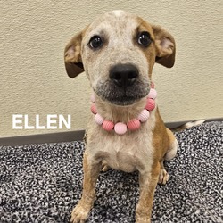 Thumbnail photo of Ellen #3