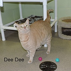 Thumbnail photo of Dee Dee #4