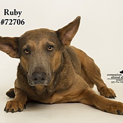 Thumbnail photo of Ruby #1