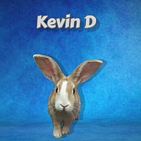 Photo of Kevin D