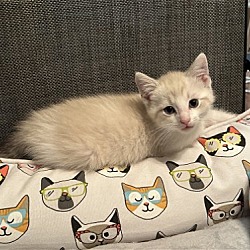 Photo of Colin